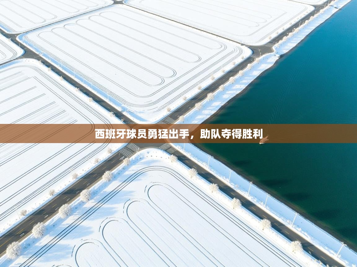 西班牙球员勇猛出手，助队夺得胜利  第2张