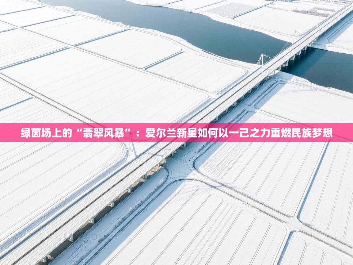 绿茵场上的“翡翠风暴”：爱尔兰新星如何以一己之力重燃民族梦想  第2张