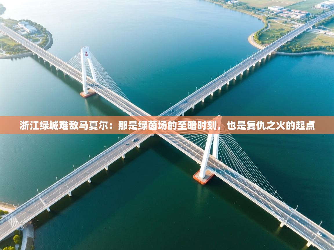 浙江绿城难敌马夏尔：那是绿茵场的至暗时刻，也是复仇之火的起点