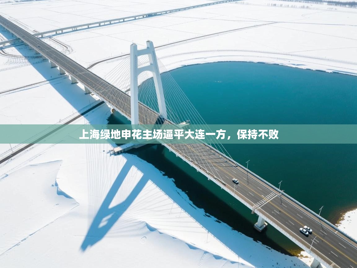 上海绿地申花主场逼平大连一方，保持不败