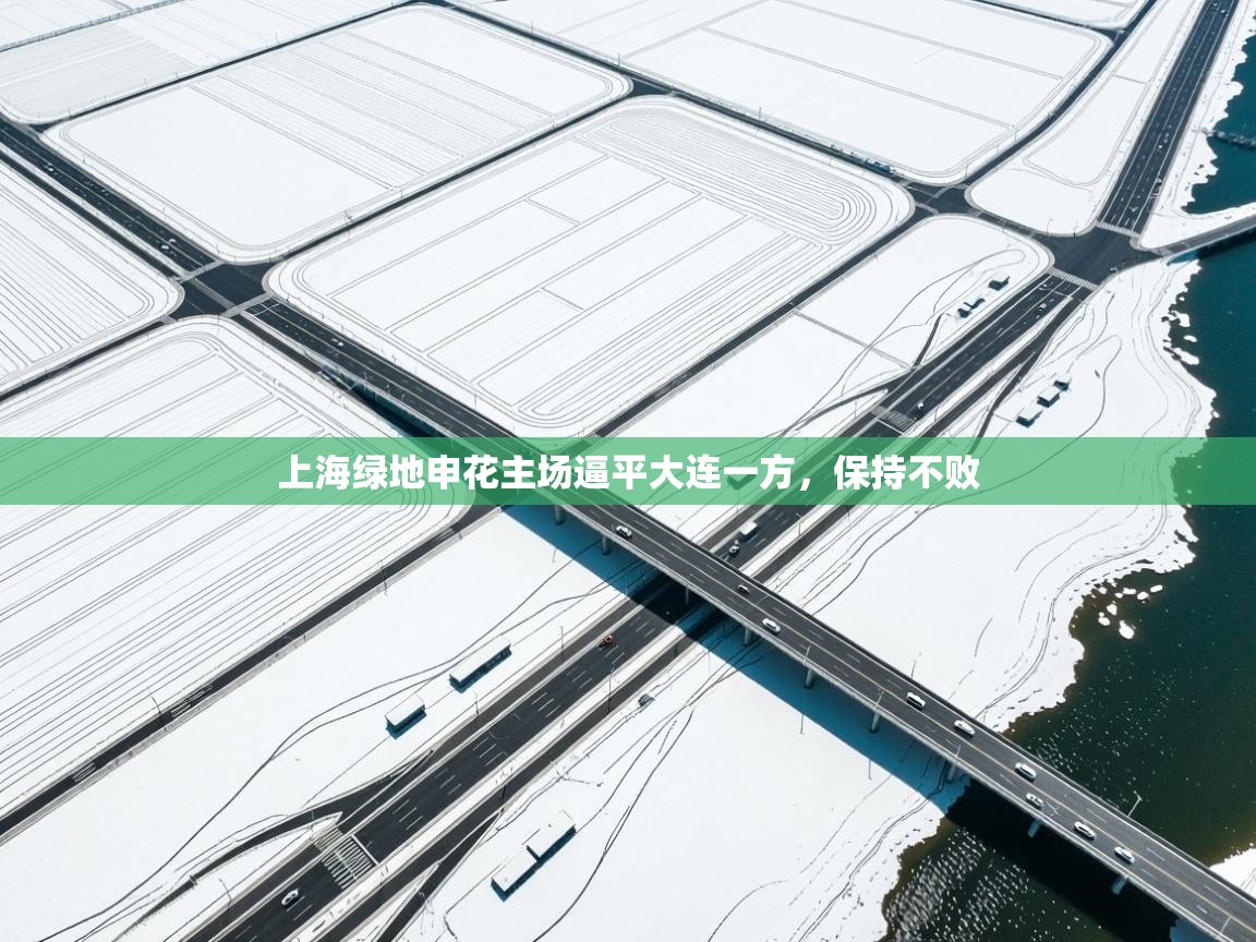 上海绿地申花主场逼平大连一方，保持不败  第2张