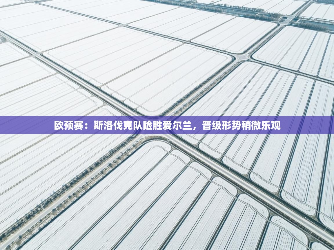 欧预赛:斯洛伐克队险胜爱尔兰,晋级形势稍微乐观 第2张