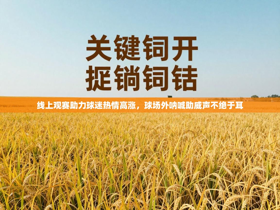 线上观赛助力球迷热情高涨，球场外呐喊助威声不绝于耳  第2张