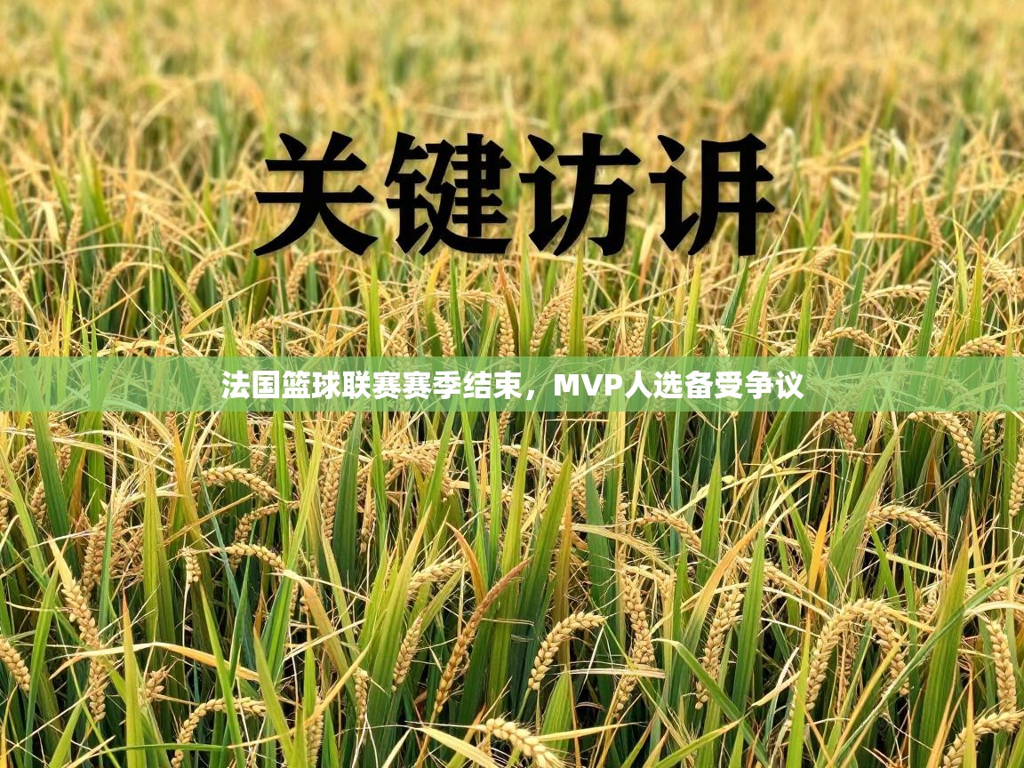 法国篮球联赛赛季结束，MVP人选备受争议  第2张